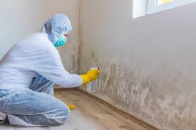  , USA Mold Removal & Remediation Pros